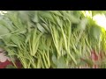सभी को राधे राधे सभी का स्वागत करती हूं अपने यूट्यूब चैनल पर #vlog # video YouTube# viral# trending