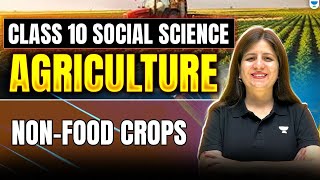Agriculture – Non-Food Crops | Class 10 Social Science | Shweta Ma’am