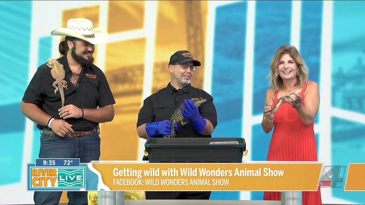 Getting wild with Wild Wonders Animal Show - YouTube