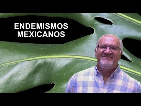 Video: ¿Por qué es importante el endemismo?