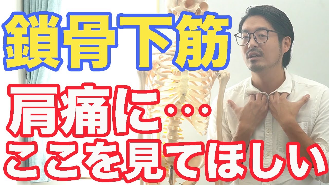 ブログ 本当に治せる治療家を創出するplt協会