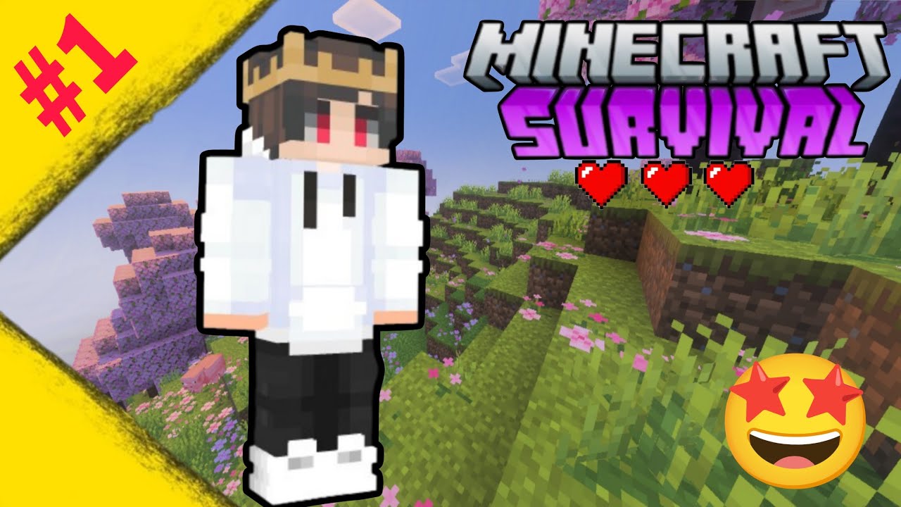 Playing Minecraft For The first Time|| Minecraft Survival series #1 in ...