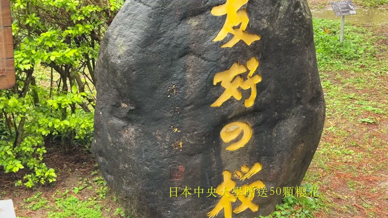 中央大學NCU 中大湖