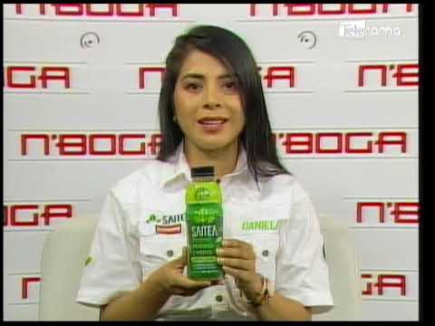 Marca lojana Moringa Life presenta Saitea bebida hidratante