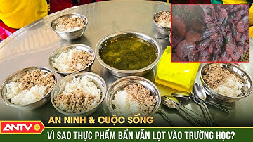 An ninh với cuộc sống: Khi thực phẩm ‘bẩn’ tuồn vào trường học- Trách nhiệm thuộc về ai? | ANTV