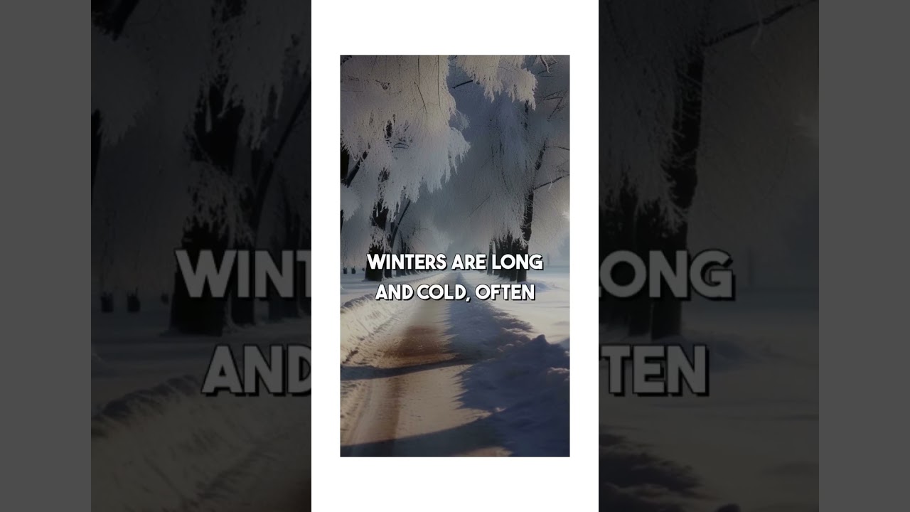 The secrets of the Taiga! Fascinating facts about this vast, mysterious forest! 