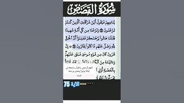 سورة القصص الآية 75 #قرآن #quran #islam #islamicstatus