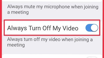 How To Always Turn On Off My Video Settings in Zoom Clouds Meetings