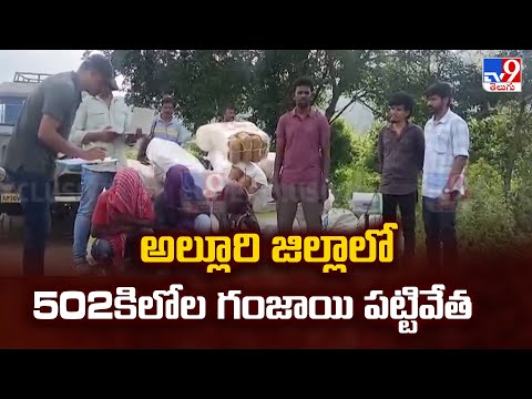 Andhra Pradesh : అల్లూరి జిల్లాలో 502కిలోల గంజాయి పట్టివేత - TV9 - TV9