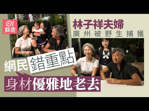 61歲葉蒨文廣州被野生捕獲　網民錯重點關心身材優雅地老去｜01娛樂｜葉蒨文｜林子祥｜香港藝人