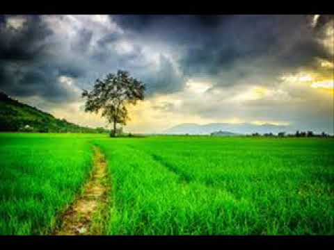 ذنوب لا تموت درس عمر عبد الكافي