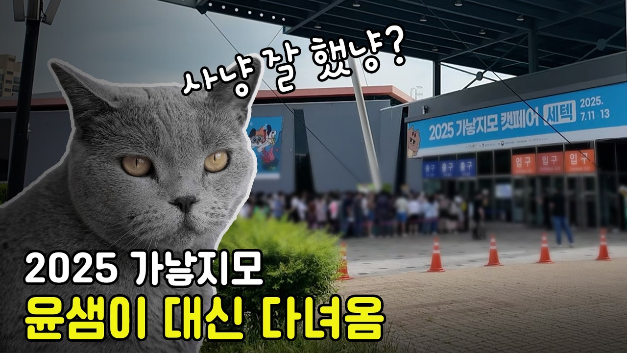 2025 가낳지모 캣페어. 새로운 고양이 용품을 소개합니다.