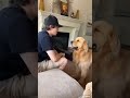 Dog Reacts Whenever Owner Makes A Move