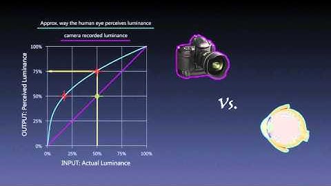 Color Management “Lost Tapes” Part 11 – Linear Capture and Gamma Encoding