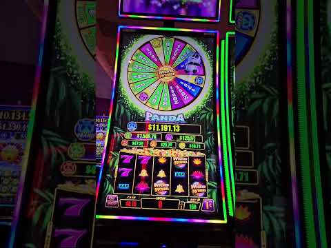Speel nu online casino games op Bet Panda, de beste Nederlandse goksite