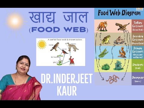खाद्य जाल Food Web BY Dr.Inderjeet Kaur