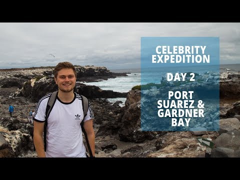 SEALIONS Gardner Bay Day 2 | Celebrity Expedition - Galapagos | Planet Cruise Travel VLOG