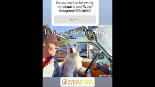 Follow me, my fiat500 and golden Jip on : @instagram/076fiat500