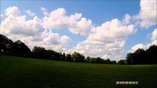 Blade 300x 3 mins inverted hover practice
