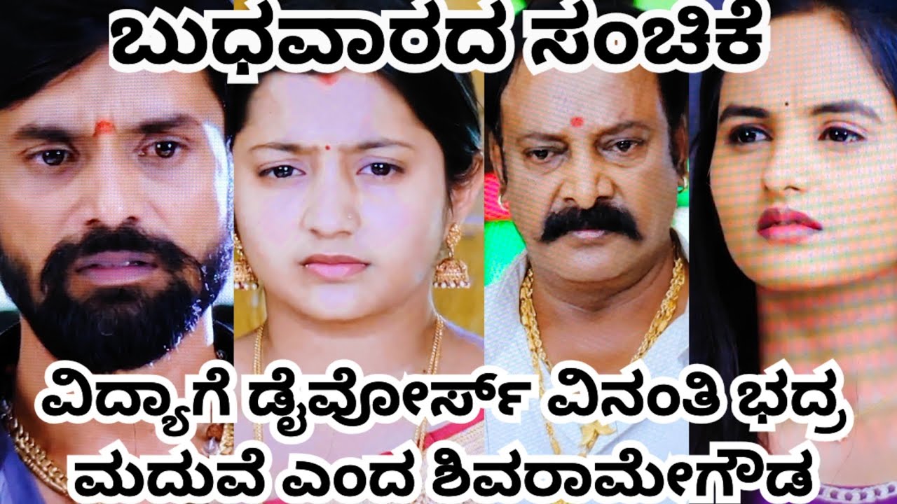 ವಿದ್ಯಾ ಗೆ ಡೈವೋರ್ಸ್ ವಿನಂತಿ ಭದ್ರ ಮದುವೆ ಎಂದ ಶಿವರಾಮೇಗೌಡ 