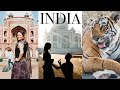 Golden Triangle INDIA Tour: Tigers & Getting Engaged at Taj Mahal 🕌🐅