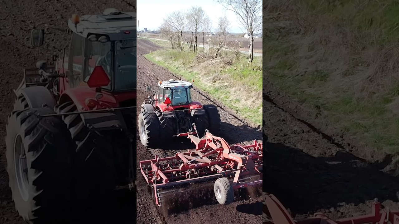 🚜 Massey Ferguson Tractor Plowing a Field with a Pretty Girl Driver