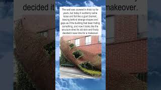 Watch This Building Reveal Its Secret After Years of Ivy