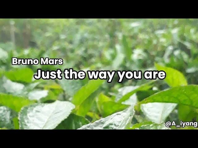 Bruno Mars - Just The Way You Are (Lyrics) class=