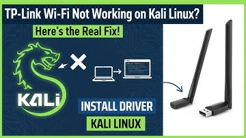 TP-Link Wi-Fi Not Working on Kali Linux? Here’s the REAL Fix!