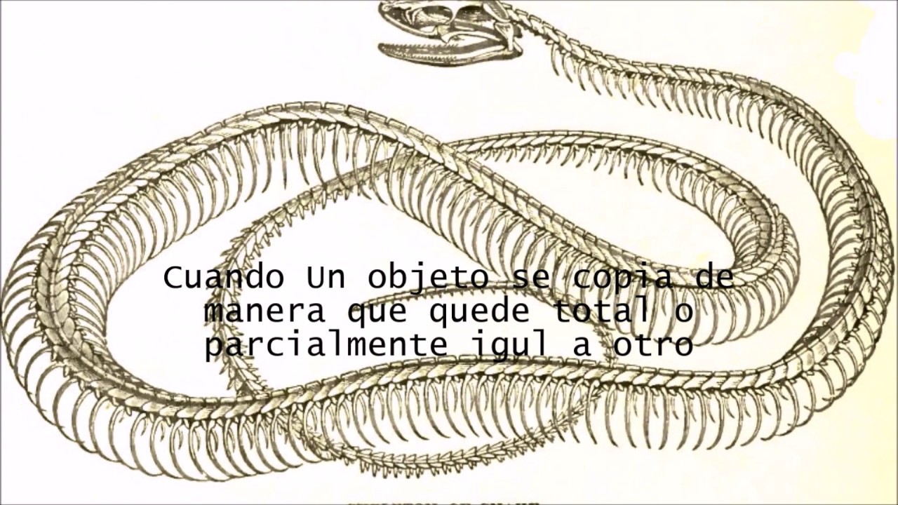 Какое тело у змей. Скелет змеи строение. Скелет змеи анатомия. Безногие земноводные скелет. Червяга скелет.