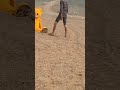 tora song remix by#md mascot star #mascot man ,teddy attitude video#shorts #dk bhai
