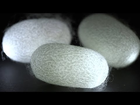 Silk fibers could be high-tech ‘natural metamaterials