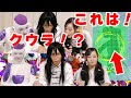 【ドッカンバトル】ビーデルとフリーザ呼んで新SSRクウラ狙ってみた／DOKKANフェスガシャ
