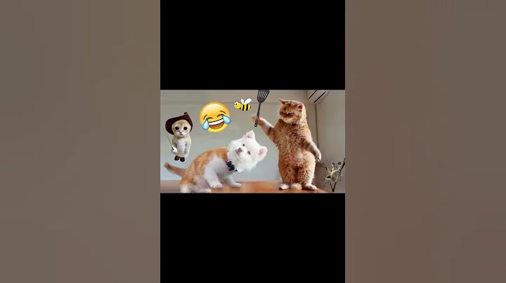 Watch the video about Cute and Funny videos🐱😱😂#cat #cute #funny #shorts