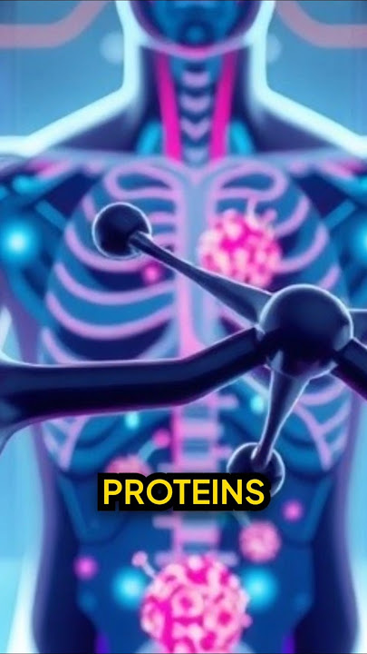 Protein for Beginners: Amino Acids, Benefits & Easy Meal Ideas