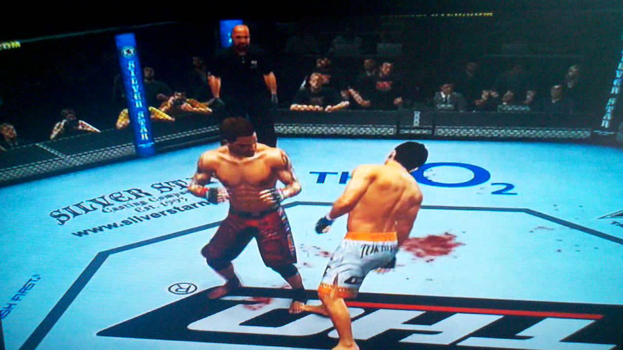 UFC 2010 Expert Spinning Heel kick K.O YouTube