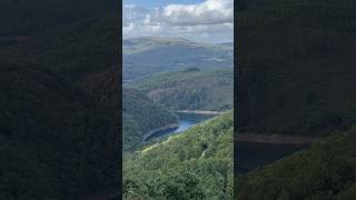Fragas do Eume. Galicia#senderismo#fragasdoeume#galicia#trekking#naturaleza#bosque