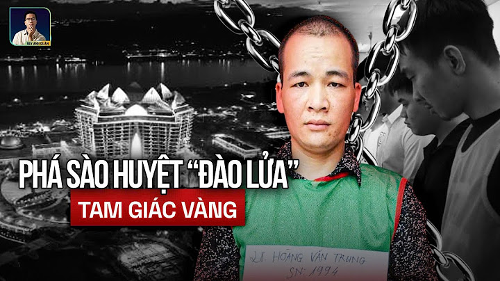 CUỘC TRUY VẾT ĐƯỜNG DÂY ĐÀO LỬA XUYÊN QUỐC GIA, 74 “BÓNG MA MẠNG” KHÔNG LỐI THOÁT