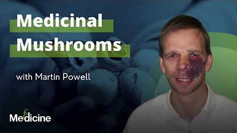 Medicinal Mushrooms with Martin Powell