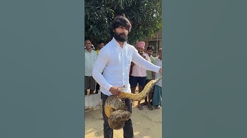 ऐसा कैसे हो सकता है इस अजगर सांप ने एक ऐसे प्राणी को ज़िंदा निगल गया, जो की आप सोच नहीं सकते! 😱