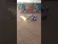 Matchstick Amazing Experiment 😱 Diwali Crackers Reaction #shorts