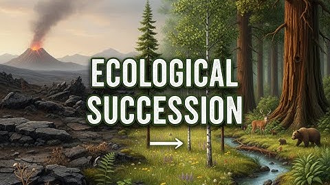 Ecological Succession Explained: How Nature Rebuilds Itself!