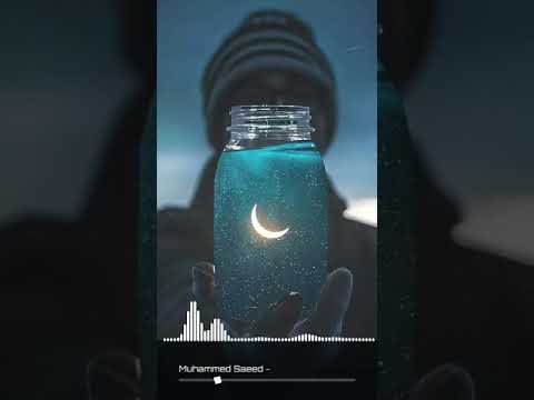 يا نجوم الليل أنا وحدى لاكن هنا قابو المداح حالات واتس