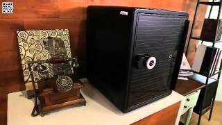 Eaglesafes - NPS Series