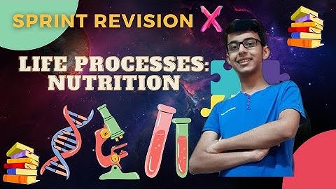 Life Processes - Nutrition | CBSE Class 10 Biology Chap 6 | Sprint X Term 1 - Board Exam Preparation