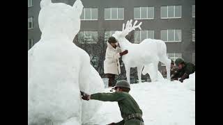 Capital City of Snow(Full HD)