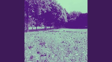 Sublime Manageable Tranquillity