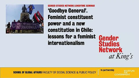 Feminist constituent power and a new constitution ...