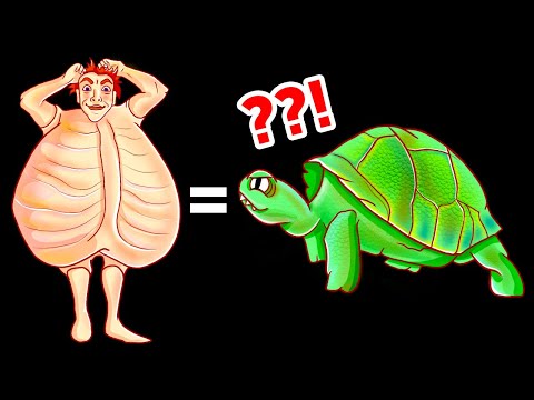 Факты о животных,