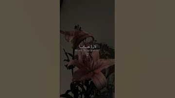 سورة طه | اية 46 🤎. القارئ: @muhammad_dibirov #quran #قرآن #محمد_ديبيروف #savepalestine